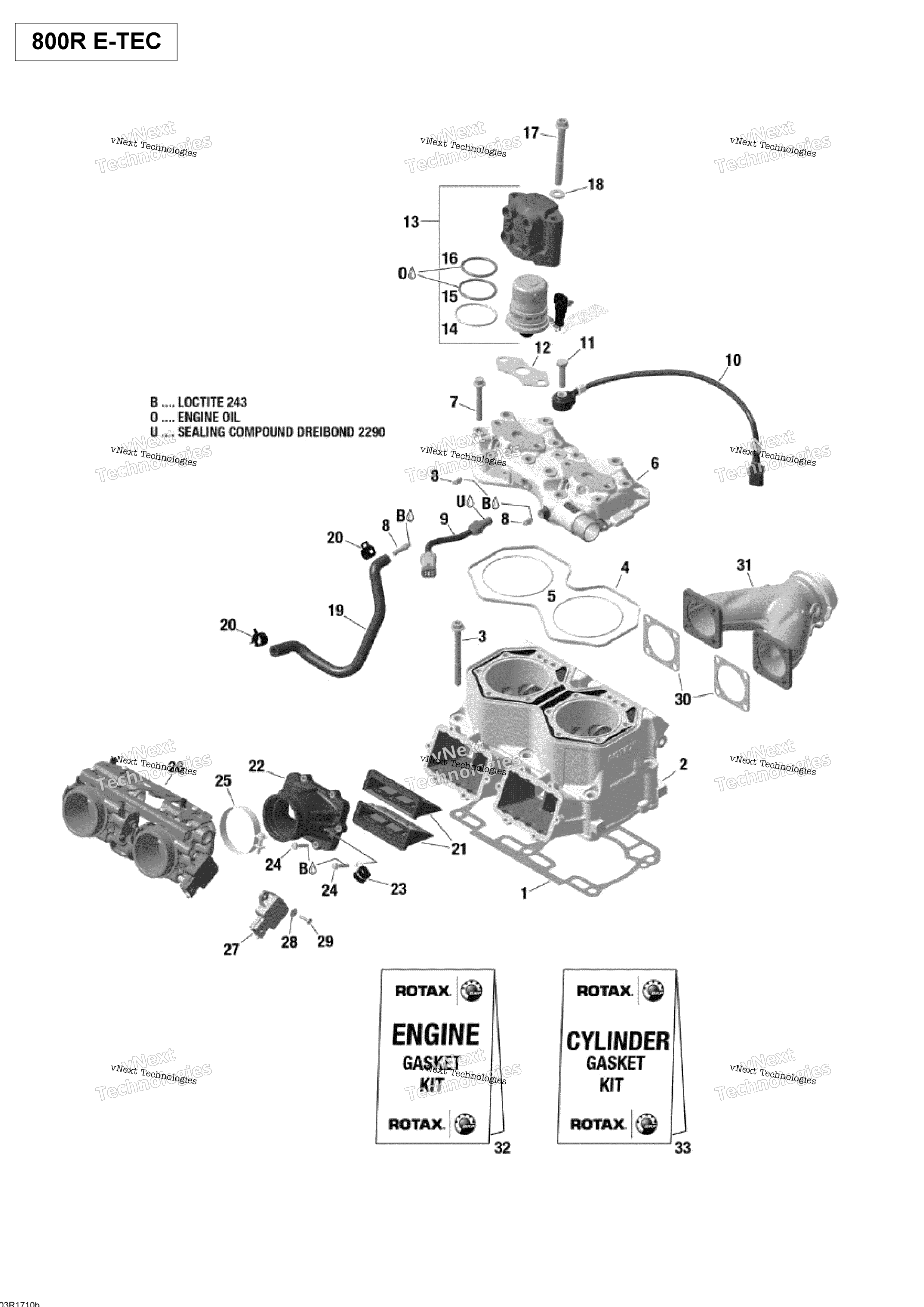 Цилиндр And Cylinder Head - 800R E-Tec