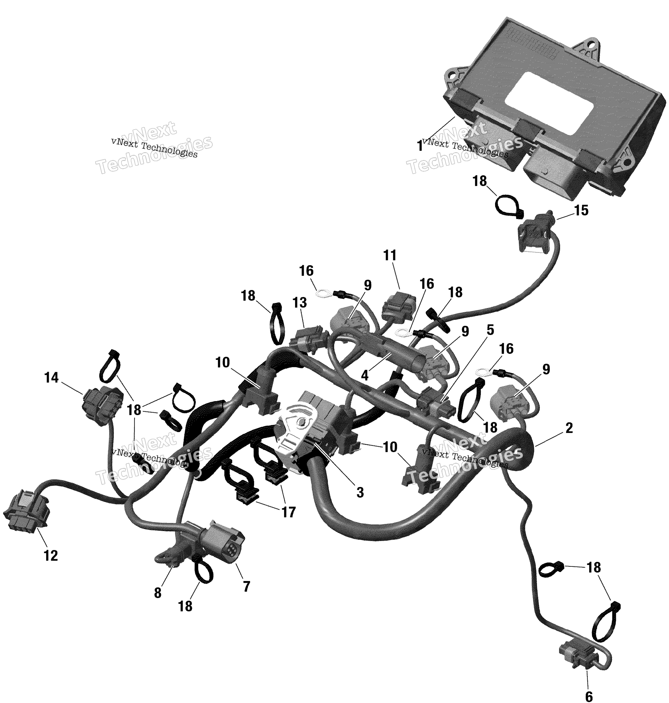 Rotax двигатель жгут и Electronic модуль