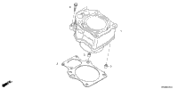 2022 TRX520FM2 2AC