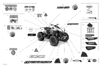 2021 Renegade T 650 EFI - STD XXC - T Regulation