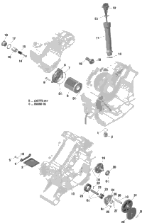 2020 Maverick Trail 800 - T Regulation
