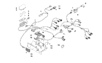 2024 ALTERRA 450 TAN (A2024ACK4CUSC)