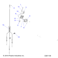 2020 550 INDY ES/INTL ES (S20CBA5BSL/BEL)