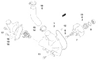 2013 XF 800 HIGH COUNTRY SNO PRO LTD WHITE (S2013XFHHCUSW)