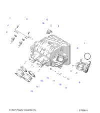 2024 RZR XP 4 1000 PREMIUM (Z24NMC99AM/BM)