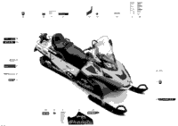 2015 SKANDIC WT 600 ACE