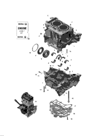 2014 SKANDIC WT 600 ACE (4-STROKES) XU