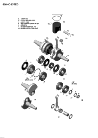 2017 EXPEDITION - 2-STROKE - LE-SE-XTREME