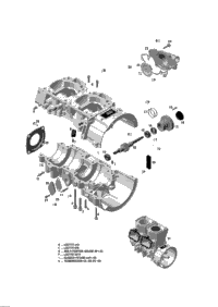 2017 SKANDIC - 2-STROKE - WT-SWT