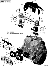 2017 SUMMIT - 850 E-TEC