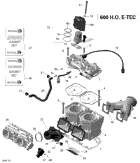 2019 SKANDIC SWT 600HO E-TEC