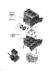 2017 SKANDIC - 4-STROKE - WT-SWT