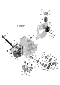 2017 SKANDIC - 4-STROKE - WT-SWT