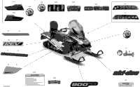 2020 EXPEDITION SPORT 900 ACE - North America