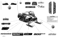 2022 RENEGADE 900 ACE - Adrenaline - North America