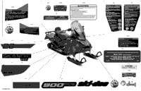 2022 SKANDIC WT 900 ACE - North America (Built After March 2021)
