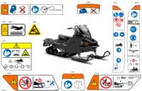 2024 Europe - RENEGADE 600 ACE - SPORT - MCRB - Neo Yellow - 137X15X1.25RS Track