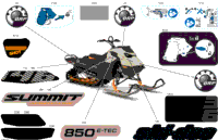 2024 Europe - SUMMIT 850 E-TEC - Adrenaline with Edge Package - CGRE - Northern Lichen - 146X16X2.5PF Track