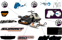 2024 North America - SUMMIT 850 E-TEC - Adrenaline with Edge Package - CGRD - Northern Lichen - 154X16X3P4F Track