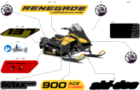 2024 North America - RENEGADE 900 ACE Turbo - Adrenaline - DURA - Neo Yellow - 137X15X1.25RS Track