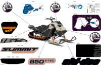 2024 North America - SUMMIT 850 E-TEC - Adrenaline with Edge Package - CGRK - Northern Lichen - 165X16X3P4F Track