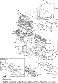 2001 CHAMPIONS LIMITED EDITION (YZFR6SN)