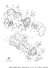 2017 FZ09 (FZ09HCS) CA