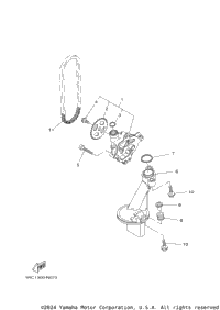 2017 XSR900 (XSR900HCL) CA
