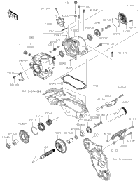 2021 Z H2 (ZR1000KMFNL)
