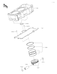 2024 Ninja 500 (EX500GRFAN)
