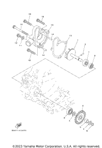 2022 YZ125 (YZ125N2L)