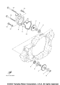 2023 YZ250 (YZ250P2L)