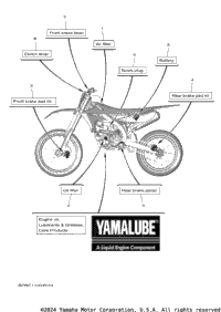 2023 YZ250F MONSTER (YZ250FPME)