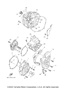 2024 MT10 (MT10RCGY) CA