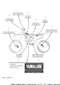 2024 YZ250F (YZ250FRL)