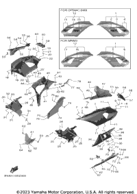2024 YZFR7 (YZFR7RCGY) CA
