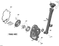 2008 RXT X 255