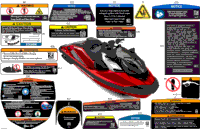 2024 North America - RXP X 325 - 21RG - X package - Ice Metal