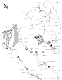2019 Ninja ZX-10R (ZX1002FKF)