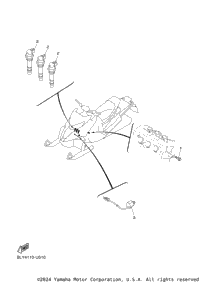 2023 SIDEWINDER SRX LE EP (SW1NSRLPPL)