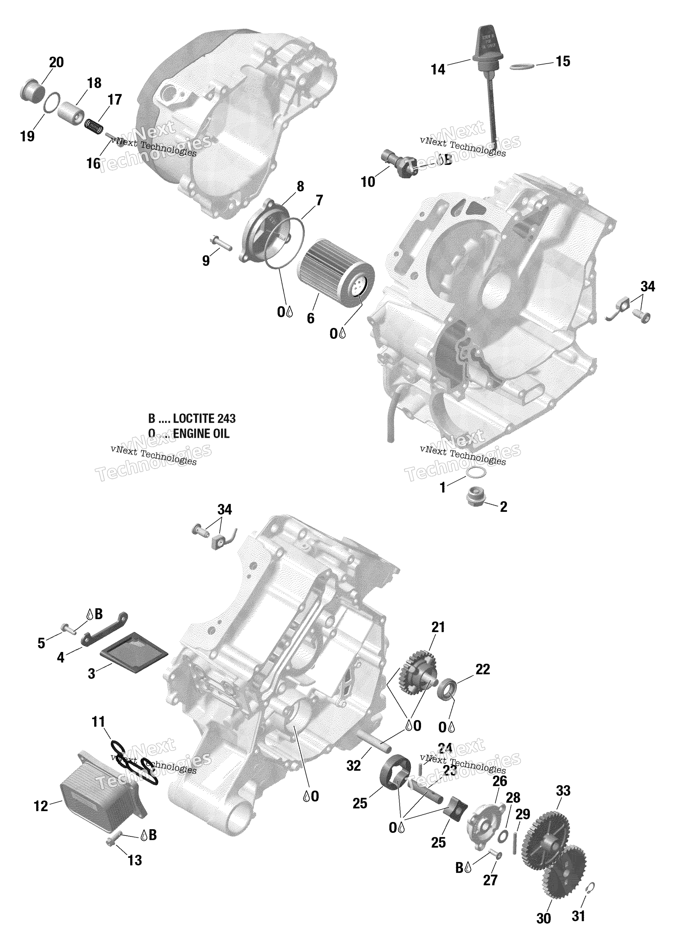 2019 Renegade 1000R EFI - North America
